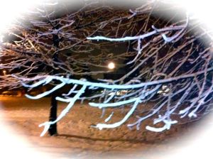 Där i morgonljuset lyser snön så vitt på grenen