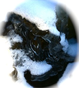 En blå vacker genomskinlig skulptur av is